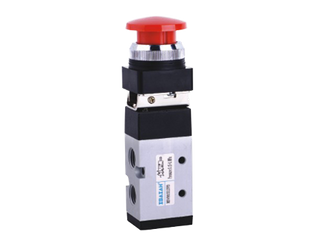 MSV86522PB